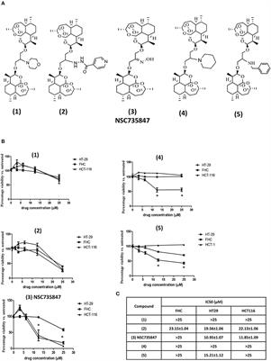 Heme-Dependent ER Stress Apoptosis: A Mechanism for the Selective Toxicity of the Dihydroartemisinin, NSC735847, in Colorectal Cancer Cells